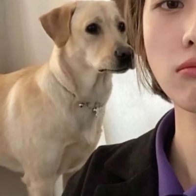 希望我們的愛都能如願以償(图2)