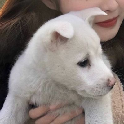 家庭地位(二)(图4)