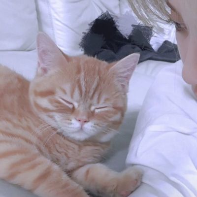 家庭地位(三)(图7)