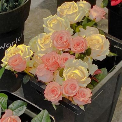 都会喜欢花,你也不例外。