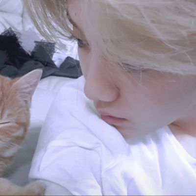 家庭地位(三)(图8)