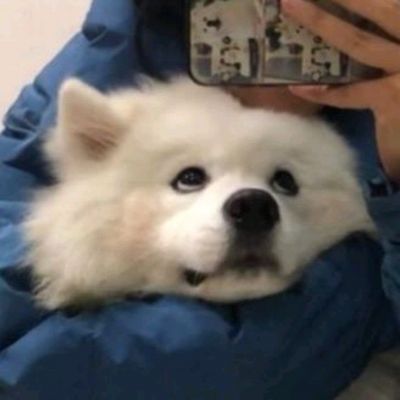 家庭地位一目了然(图10)