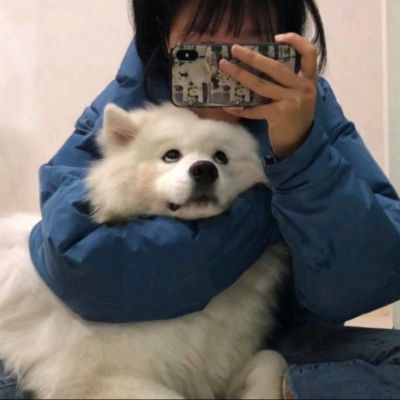 家庭地位一目了然(图9)