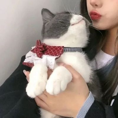 家庭地位(二)(图8)