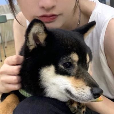 家庭地位(二)(图1)