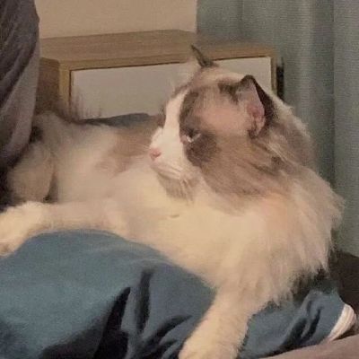 家庭地位(二)(图9)