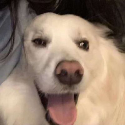 家庭地位一目了然(图2)