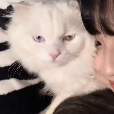 希望我們的愛都能如願以償(图6)