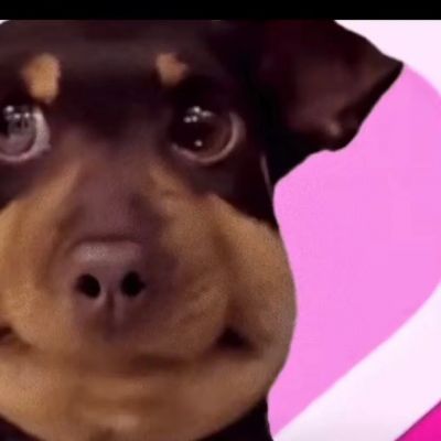 情侣头像/霜雪吹满头，也算是白首。(图9)