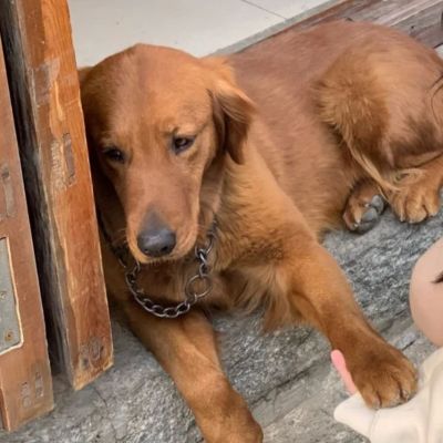 家庭地位一目了然(图8)