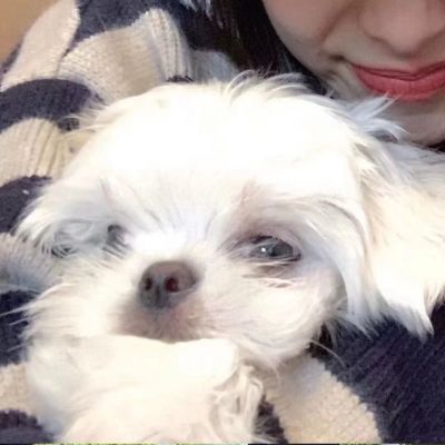 家庭地位系列(图2)