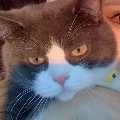 家庭地位系列(图8)