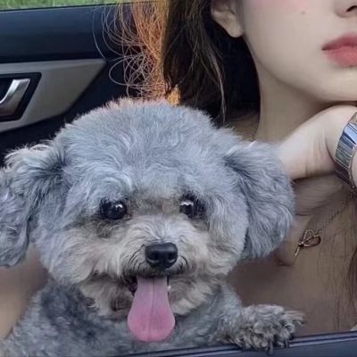 家庭地位系列(图6)