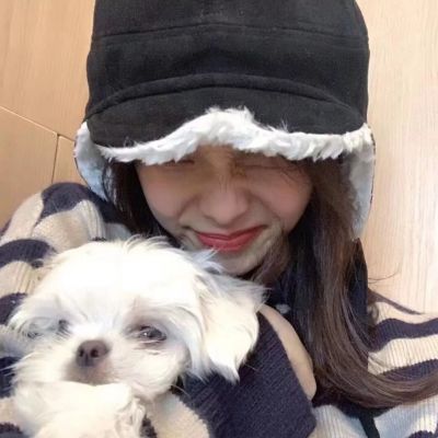 家庭地位系列(图1)