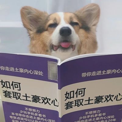 可爱萌宠情头♡海因为朝霞而红了脸 而我也因为你才心动(图1)