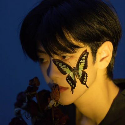 Share｜后来遇到的人再难惊艳我的青春(图14)