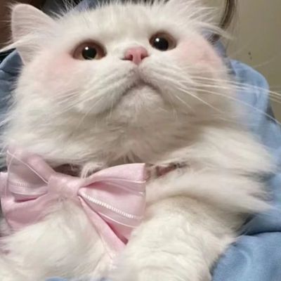 家庭地位系列(图4)