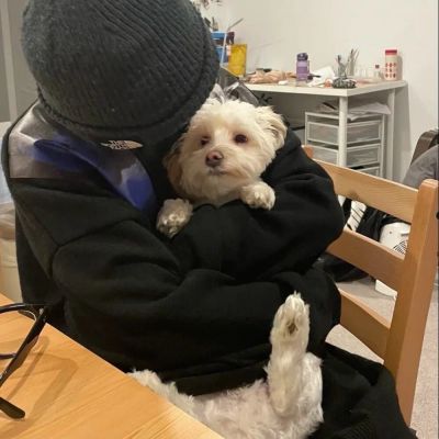 绝美女头 | 可惜我不是你的周游(图8)