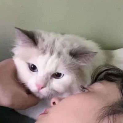 家庭地位系列(图9)