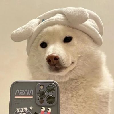 可爱萌宠情头♡海因为朝霞而红了脸 而我也因为你才心动(图3)