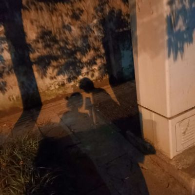 喜.深色系情侣头像(图1)