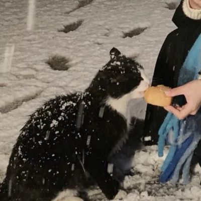 情侣头像/男孩子只遇到喜欢的女孩子才会深情.(图12)