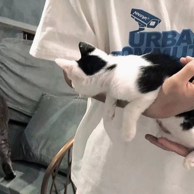 男生头像/成熟/超酷/(图20)