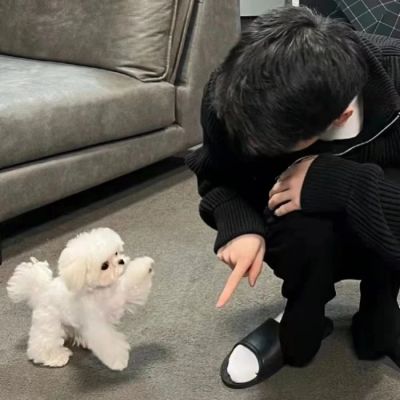 男生头像/成熟/超酷/(图11)