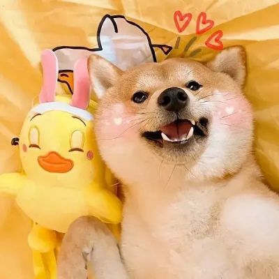 可爱的动物情头╭(╯ε╰)╮(图3)