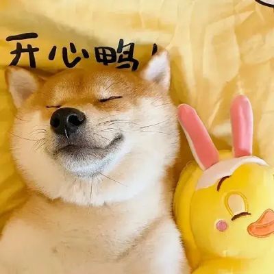 可爱的动物情头╭(╯ε╰)╮(图4)