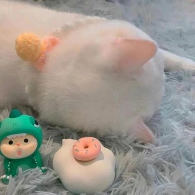 可可爱爱的单人动漫情头｜心动是你｜图源网络侵删(图9)