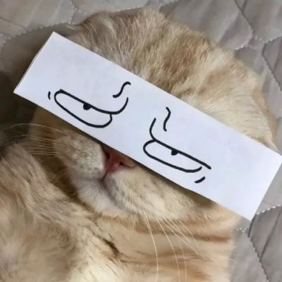 可爱的动物情头╭(╯ε╰)╮(图7)