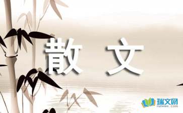 人生的意义抒情散文