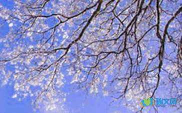 描写冬天的拟人句11篇