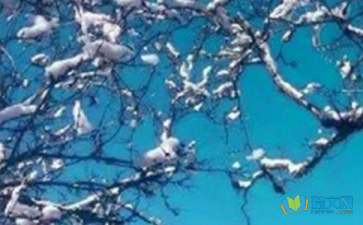 关于描写冬天景物的优美段落