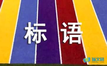 残疾人托养中心标语