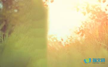 2021年简短的经典的唯美句子锦集58条