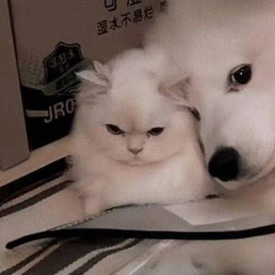 搞怪可爱情侣头像(图9)