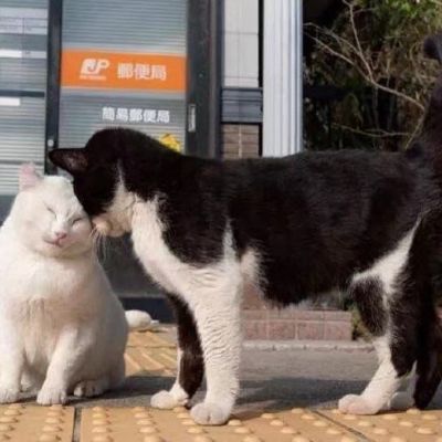 如果能回到以前 我会选择不认识你 不是我后悔 是我不能面对现在的结局(图10)