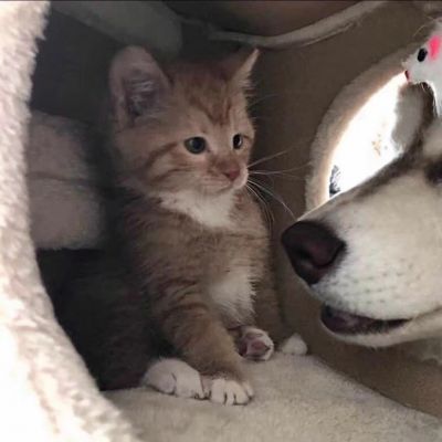 如果能回到以前 我会选择不认识你 不是我后悔 是我不能面对现在的结局(图5)