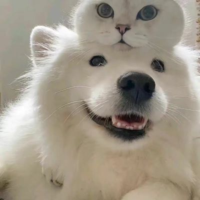 如果能回到以前 我会选择不认识你 不是我后悔 是我不能面对现在的结局(图4)