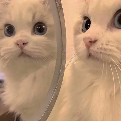 如果能回到以前 我会选择不认识你 不是我后悔 是我不能面对现在的结局(图2)