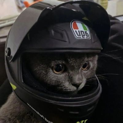 不明显情头(图9)