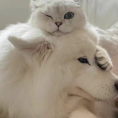 如果能回到以前 我会选择不认识你 不是我后悔 是我不能面对现在的结局(图3)