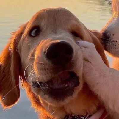 如果能回到以前 我会选择不认识你 不是我后悔 是我不能面对现在的结局(图7)