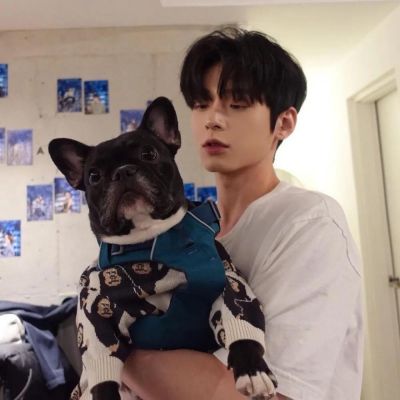 充当着可有可无的位置就没有必要那么执着了(图10)