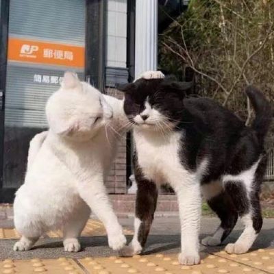 如果能回到以前 我会选择不认识你 不是我后悔 是我不能面对现在的结局(图9)