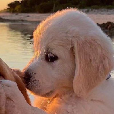 如果能回到以前 我会选择不认识你 不是我后悔 是我不能面对现在的结局(图8)