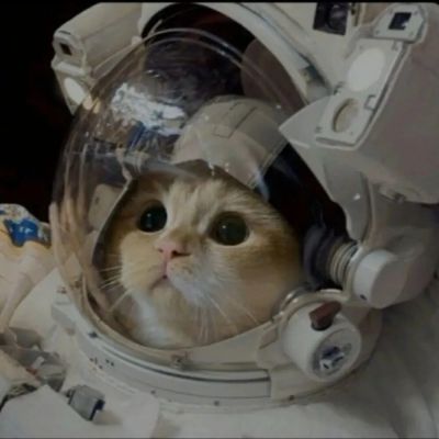 不明显情头(图10)