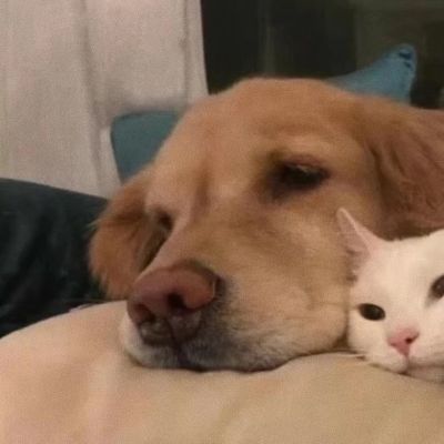 搞怪可爱情侣头像(图7)